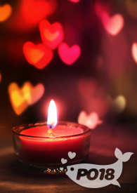 ������������SD��