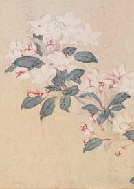 ߢ��ɫ��ǿȡ���ᣩ