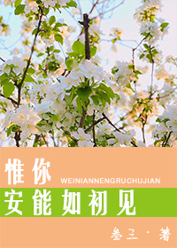 Ω�㰲�������