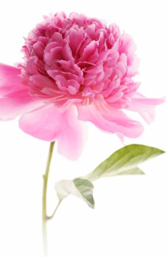 �ҵ���ʦ������