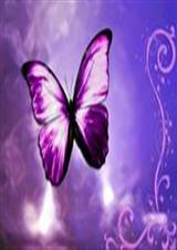 ��Խ�ɽ�֮������